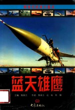 新世纪武库大盘点  蓝天雄鹰