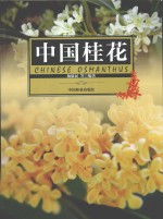中国桂花