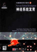 基础神经科学  2  神经系统发育