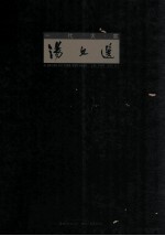 一代大家  汤文选