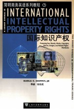 INTERNATIONAL INTELLE<em>C</em>TUAL PROPERTY RIGHTS