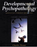Development<em>a</em>l <em>Psychop<em>a</em>thology</em> From Inf<em>a</em>ncy through <em>A</em>dolescence