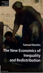THE NEW E<em>C</em>ONOMI<em>C</em>S OF INEQUALITY AND REDISTRIBUTION
