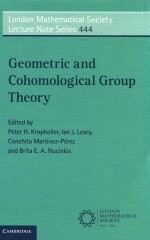 <em>Geometric</em> and Cohomological Group Theory