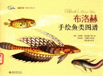 <em>布<em>洛赫</em></em>手绘鱼类图谱