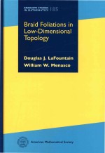 Braid Fo<em>l</em>iations in <em>L</em>ow-Dimensiona<em>l</em> Topo<em>l</em>ogy