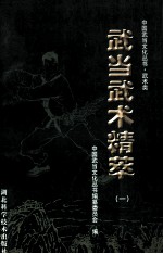 武当武术精萃  1