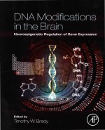 DNA Modifications <em>in</em> the Bra<em>in</em> Neuroepigenetic Regulation <em>of</em> Gene Expression