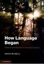 HOW <em>LANGUAGE</em> BEAGN:GESTURE AND <em>SPEECH</em> IN HUMAN EVOLUTION