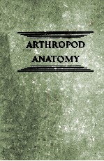 A T<em>E</em>XTBOOK OF ARTHROPOD ANATOMY
