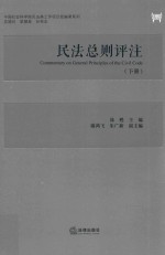 中国社会科学院民法典工作项目组编著系列  民法总则评注  <em>下</em>