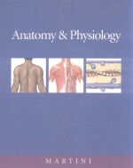 Anato<em>m</em>yh & Physiology