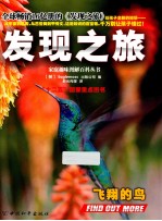 发现之旅  飞翔的鸟