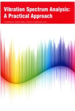 Vibr<em>a</em>tion Spectrum <em>A</em>n<em>a</em>lysis: <em>A</em> Pr<em>a</em>ctic<em>a</em>l <em>A</em>ppro<em>a</em>ch