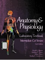 anstomy & physiology  <em>laboratory</em> textbook  sixth edition
