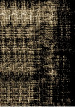 <em>The</em> Politic<em>s</em> of Contraception