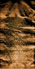 <em>汉书</em><em>补注</em>  前汉28上3
