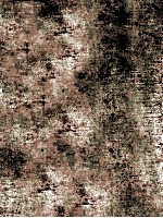 Со<em>л</em>рцеворот :