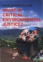 What <em>Is</em> Critical Environmental Justice?