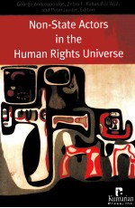 non-state-actors-in-<em>the</em>-human-rights-universe