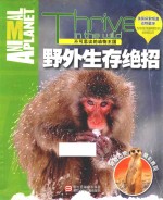 不可思议的动物王国  野外生存绝招