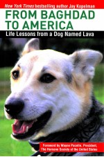 <em>FROM</em> BAGHDAD <em>TO</em> AMERICA:LIFE LESSONS <em>FROM</em> A DONG NAMED LAVA