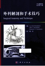 外科解剖和手术技巧  原书第3版  翻译版