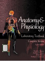 anatomy & physiology  <em>laboratory</em> textbook  eighth edition
