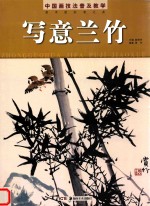<em>中国</em>画技法普及教学  写意兰竹