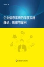 企业信息系统的深度实施  理论、规律与案例