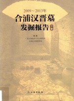 2009-2013年合浦汉晋墓发掘报告  下