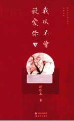 我从不曾说爱你  下