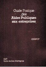 <em>GUIDE</em> PRATIQUE DES AIDES PUBLIQUES AUX ENTREPRISES