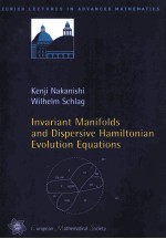 INVARIANT MANIFOLDS <em>AND</em> DISPERSIVE HAMILTONIAN EVOLUTION <em>EQUATION</em>S