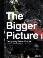 <em>The</em> Bigger Picture