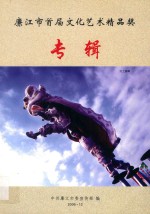 廉江市首届文化艺术精品奖  专辑