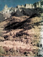 <em>E</em>nvironm<em>e</em>ntal studi<em>e</em>s