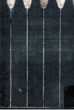 正宗<em>白</em>鳥