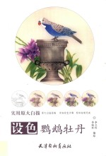 设色鹦鹉牡丹  原大版