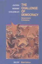 GOVERNMENT <em>IN</em> AMERICA