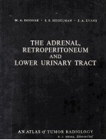 <em>The</em> adrenal