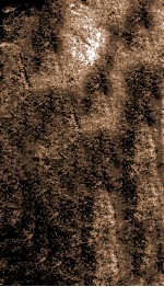 公羊补证  <em>卷</em><em>10</em>-<em>11</em>  附条例  后序