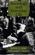 Sociolo<em>g</em>y and everyday life