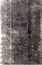 VOLUNTARY NONPROFIT ENTERPRISE MANA<em>G</em>EMENT