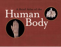 A <em>br</em>ief a<em>tl</em>as of <em>th</em>e human <em>bo</em>dy