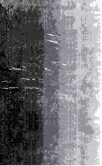 The Nature of Adole<e<em>m</em>>s</e<em>m</em>>cent Judg<em>m</em>ent