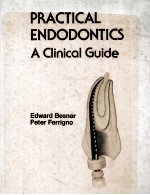<em>Practical</em> endodontics : a <em>clinical</em> guide
