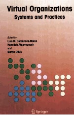 VIRTUAL ORGANIZATION:<em>System</em>s <em>and</em> Practices