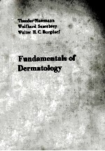 <em>Fundamentals</em> <em>of</em> Dermatology
