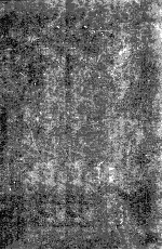 Leadership and Perfor<em>m</em>ance Beyond Expectations